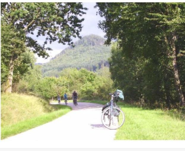 Gite Le Cerf Volant Raon-sur-Plaine ภายนอก รูปภาพ